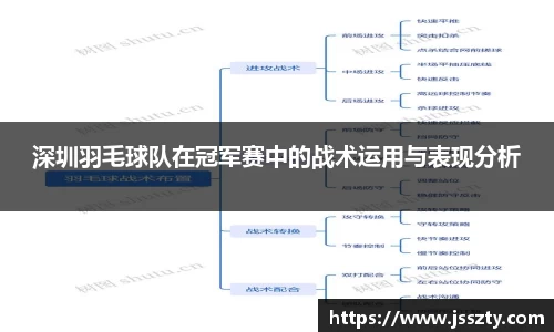 深圳羽毛球队在冠军赛中的战术运用与表现分析